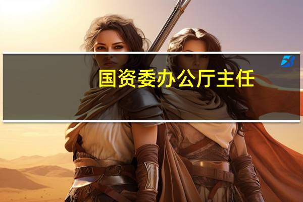国资委办公厅主任