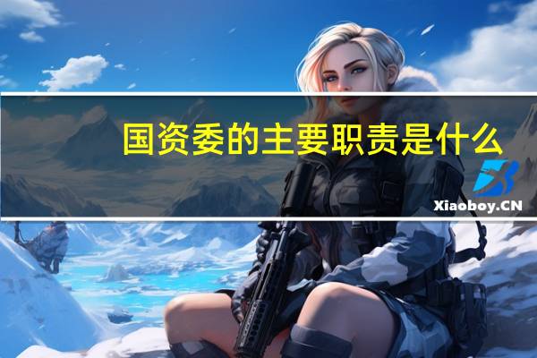国资委的主要职责是什么