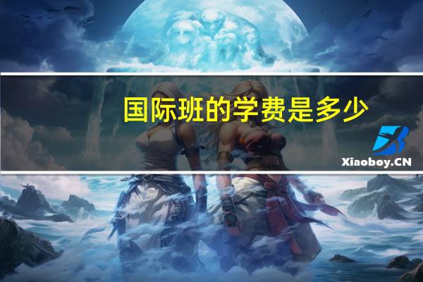 国际班的学费是多少