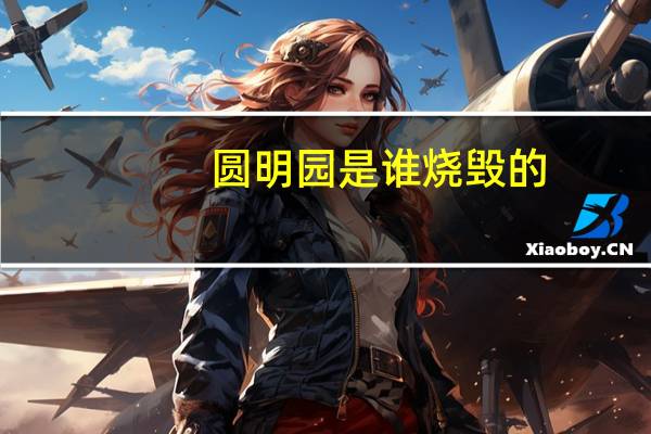 圆明园是谁烧毁的