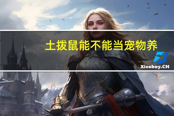 土拨鼠能不能当宠物养