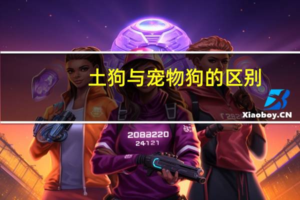 土狗与宠物狗的区别