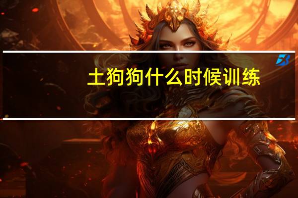 土狗狗什么时候训练