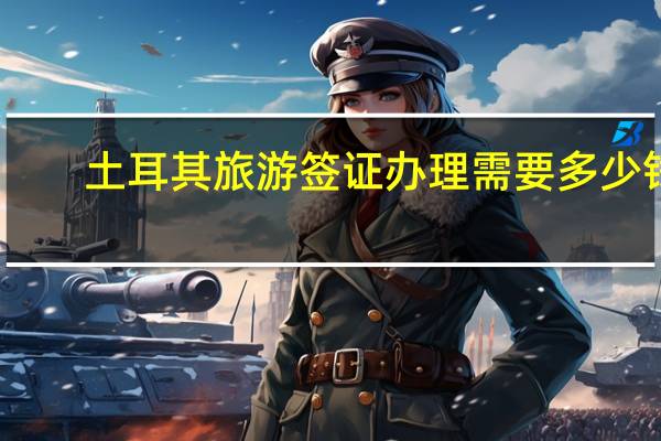 土耳其旅游签证办理需要多少钱，一手办理