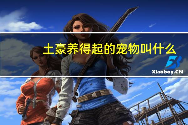 土豪养得起的宠物叫什么