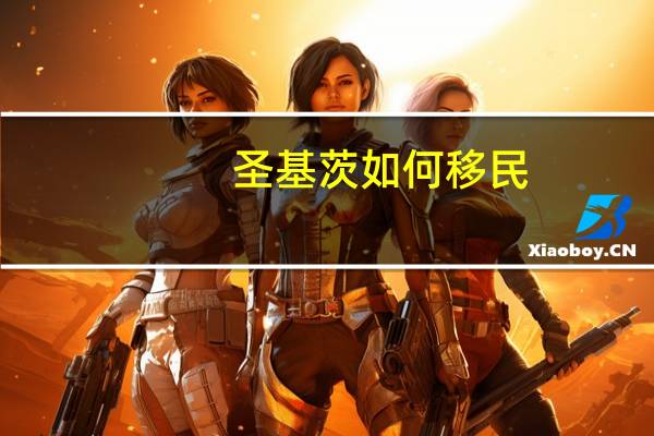 圣基茨如何移民