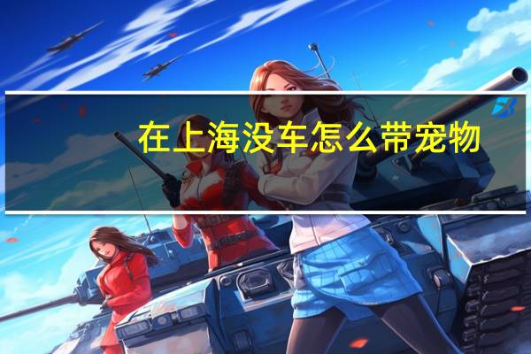 在上海没车怎么带宠物