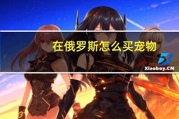 在俄罗斯怎么买宠物