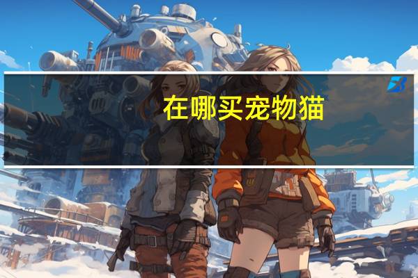 在哪买宠物猫