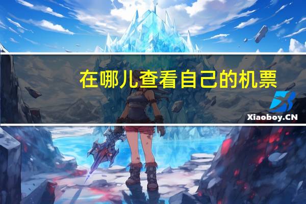 在哪儿查看自己的机票
