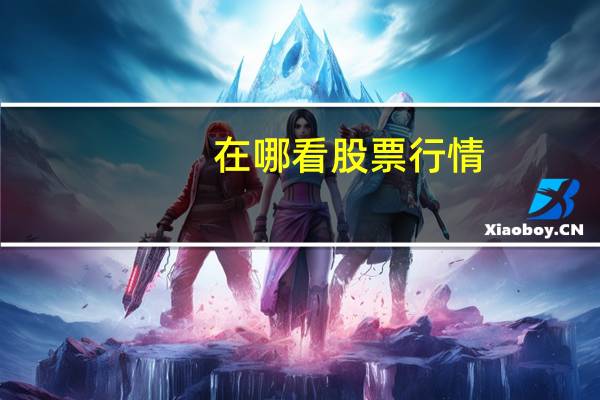 在哪看股票行情
