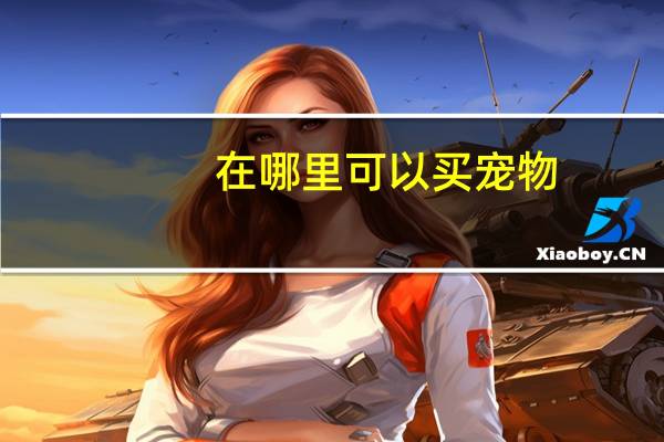 在哪里可以买宠物