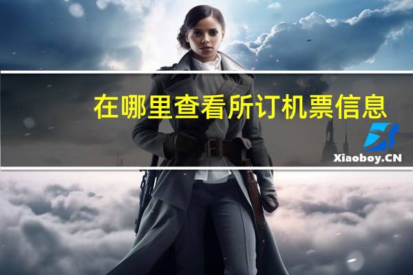 在哪里查看所订机票信息