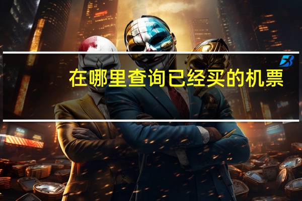 在哪里查询已经买的机票
