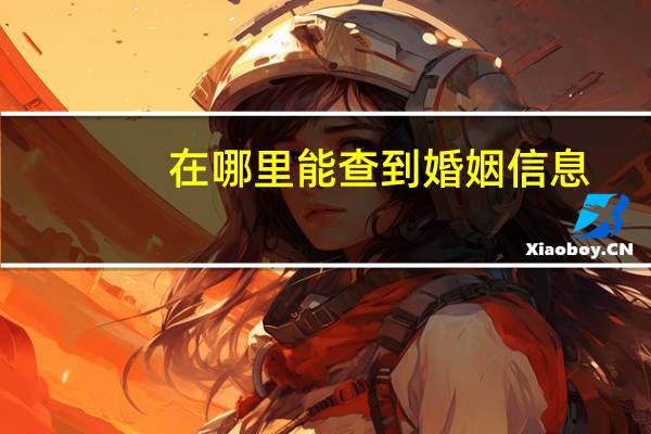 在哪里能查到婚姻信息