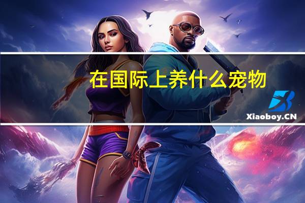 在国际上养什么宠物