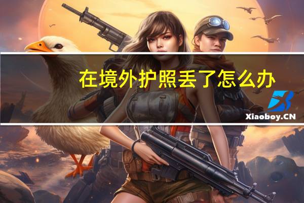在境外护照丢了怎么办