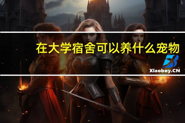 在大学宿舍可以养什么宠物