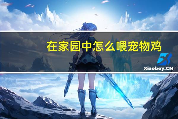 在家园中怎么喂宠物鸡