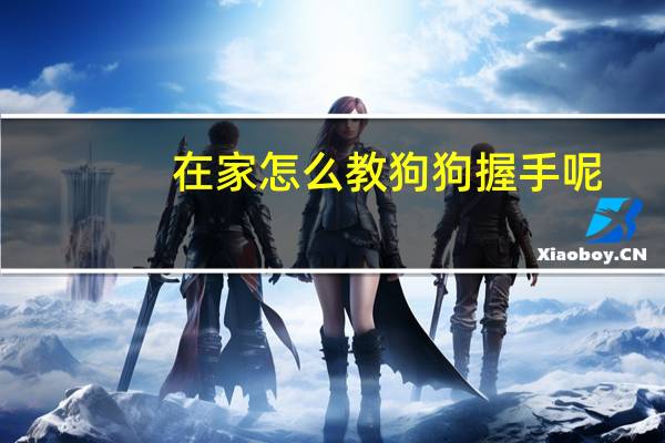 在家怎么教狗狗握手呢