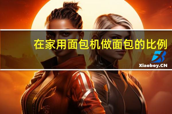 在家用面包机做面包的比例
