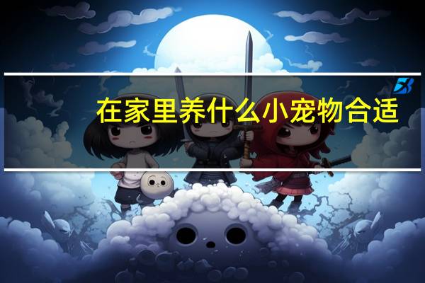 在家里养什么小宠物合适