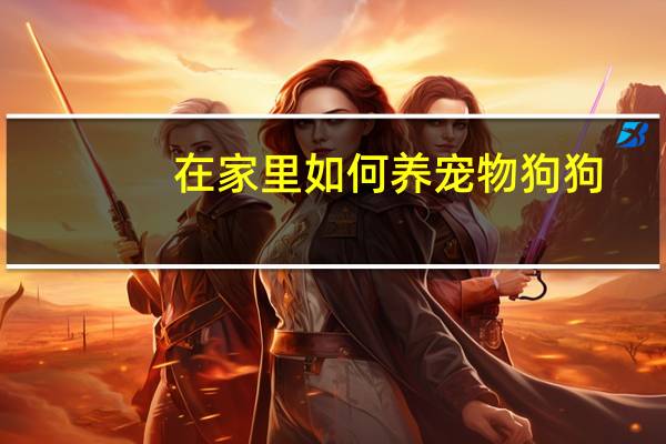在家里如何养宠物狗狗