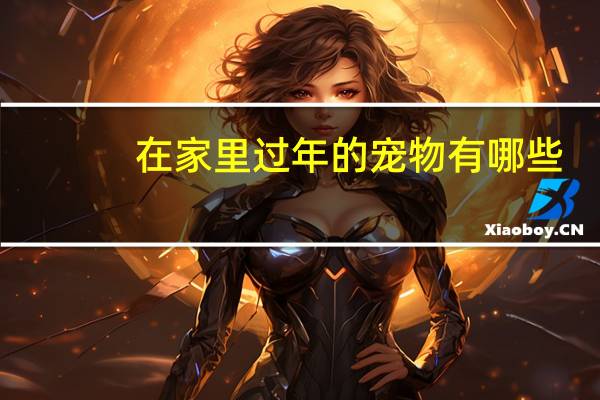 在家里过年的宠物有哪些