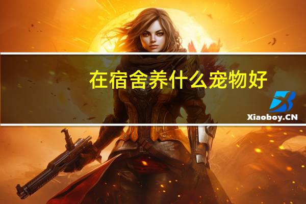 在宿舍养什么宠物好