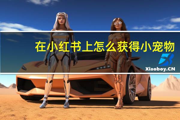 在小红书上怎么获得小宠物