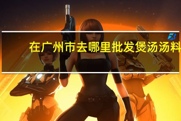 在广州市去哪里批发煲汤汤料