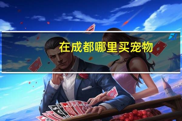 在成都哪里买宠物