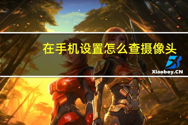 在手机设置怎么查摄像头