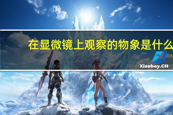在显微镜上观察的物象是什么