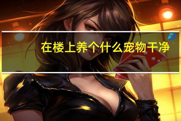 在楼上养个什么宠物干净