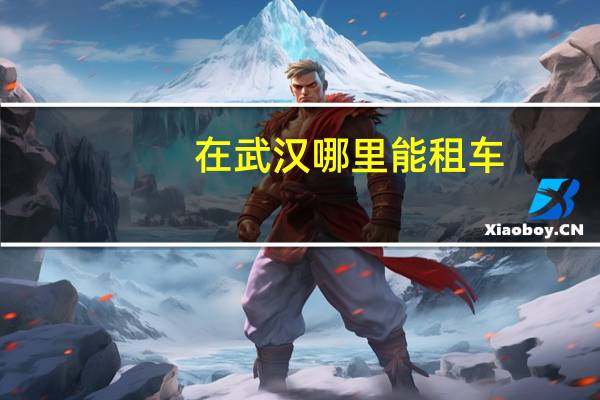 在武汉哪里能租车