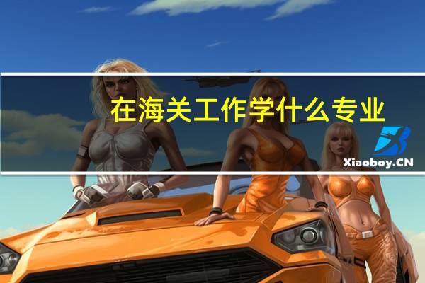 在海关工作学什么专业