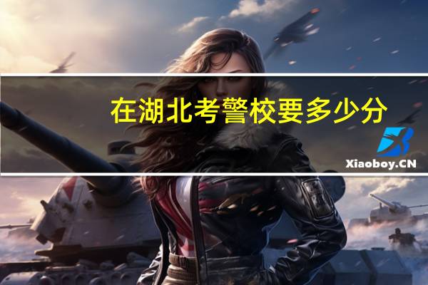 在湖北考警校要多少分