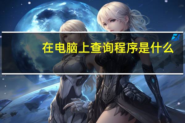 在电脑上查询程序是什么