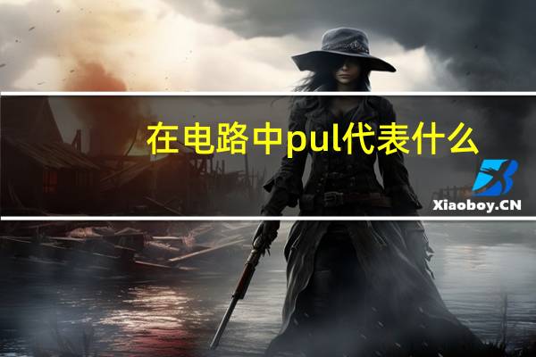 在电路中pul代表什么