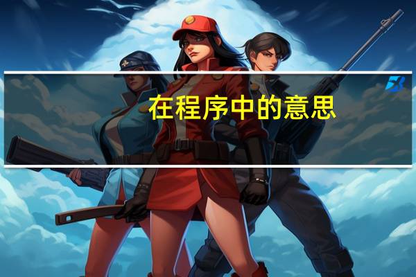 在程序中的意思