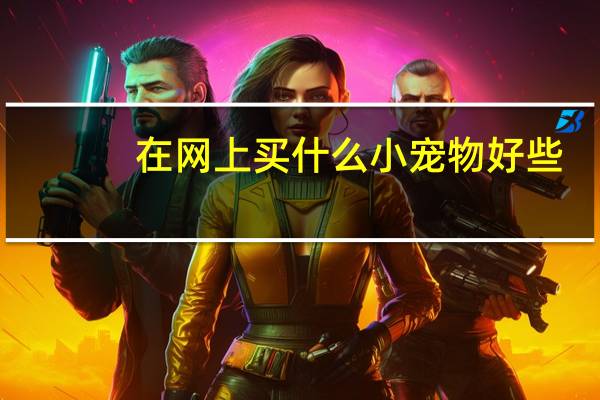 在网上买什么小宠物好些