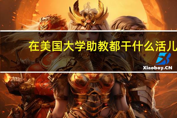 在美国大学助教都干什么活儿