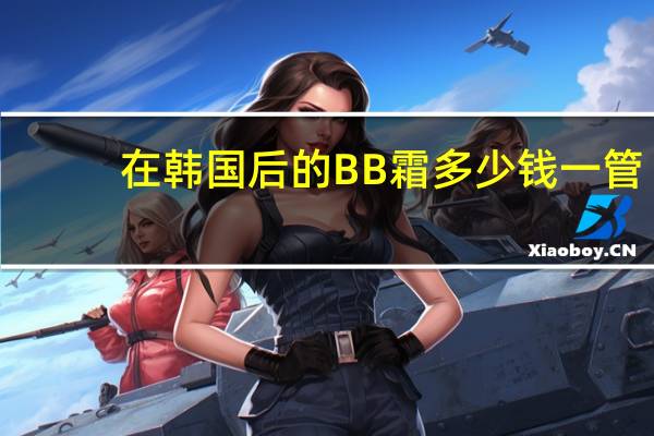 在韩国后的BB霜多少钱一管