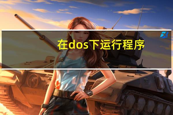 在dos下运行程序