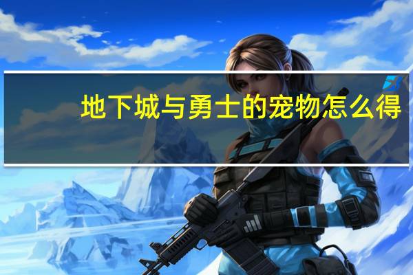 地下城与勇士的宠物怎么得