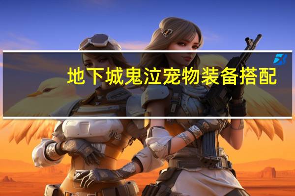 地下城鬼泣宠物装备搭配