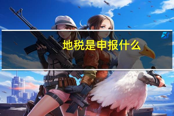地税是申报什么