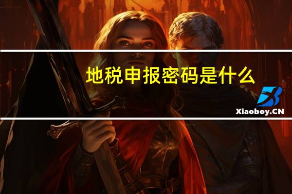 地税申报密码是什么