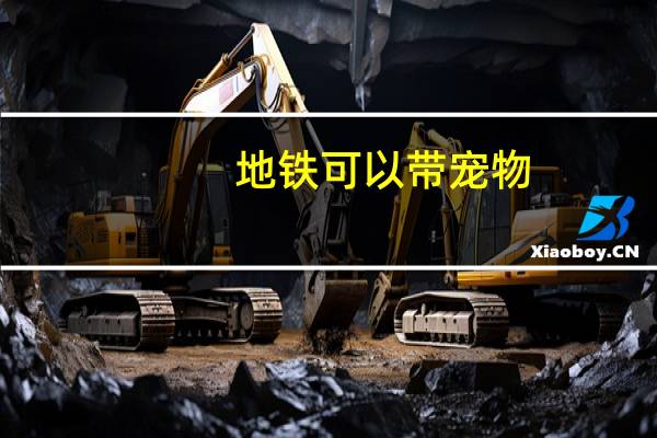地铁可以带宠物